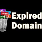 Why Every Marketer Needs an Expired Domain Finder in Their Toolkit
